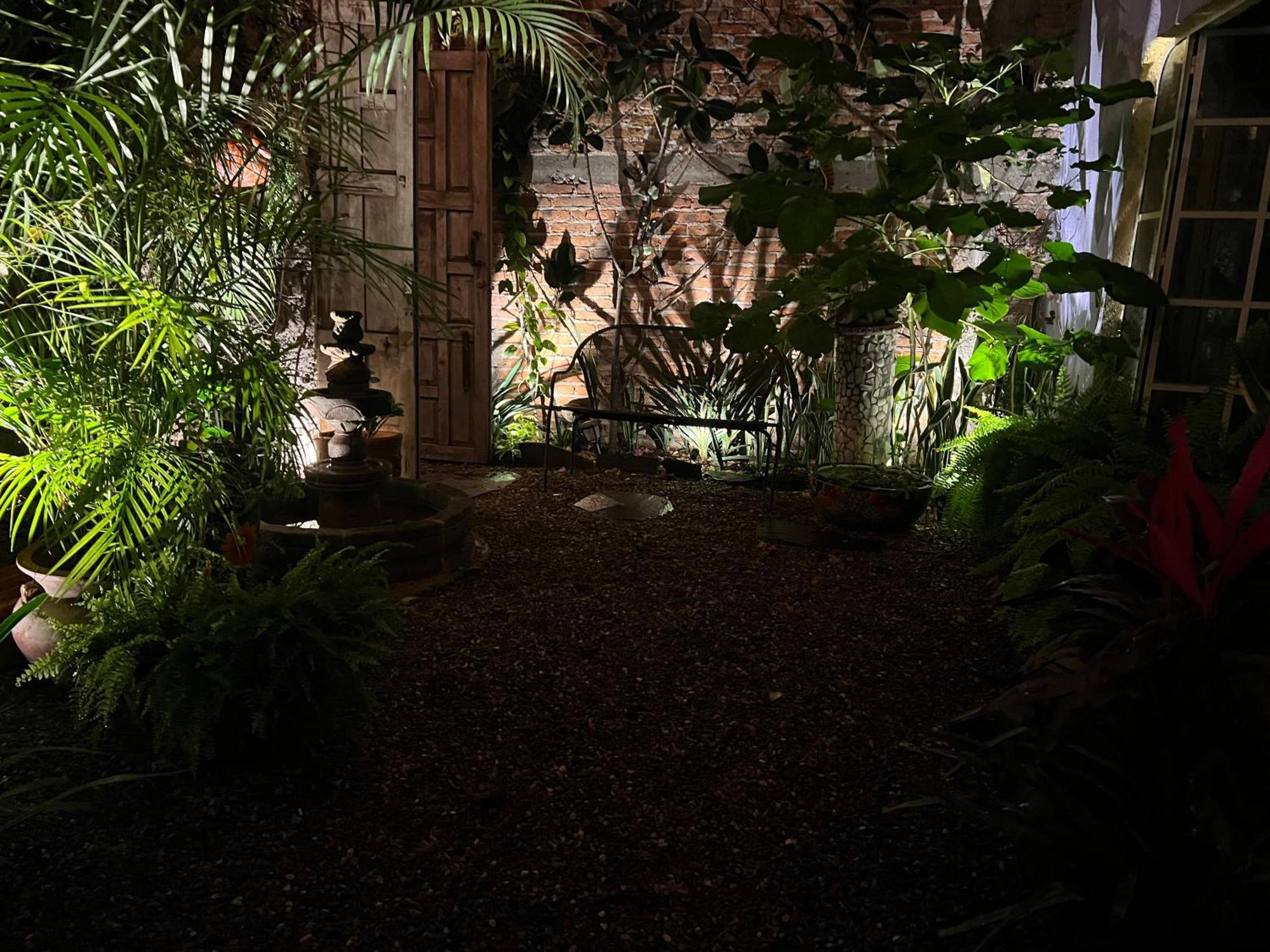 Boutique Hotel Casa Camellia San Miguel de Allende Eksteriør billede