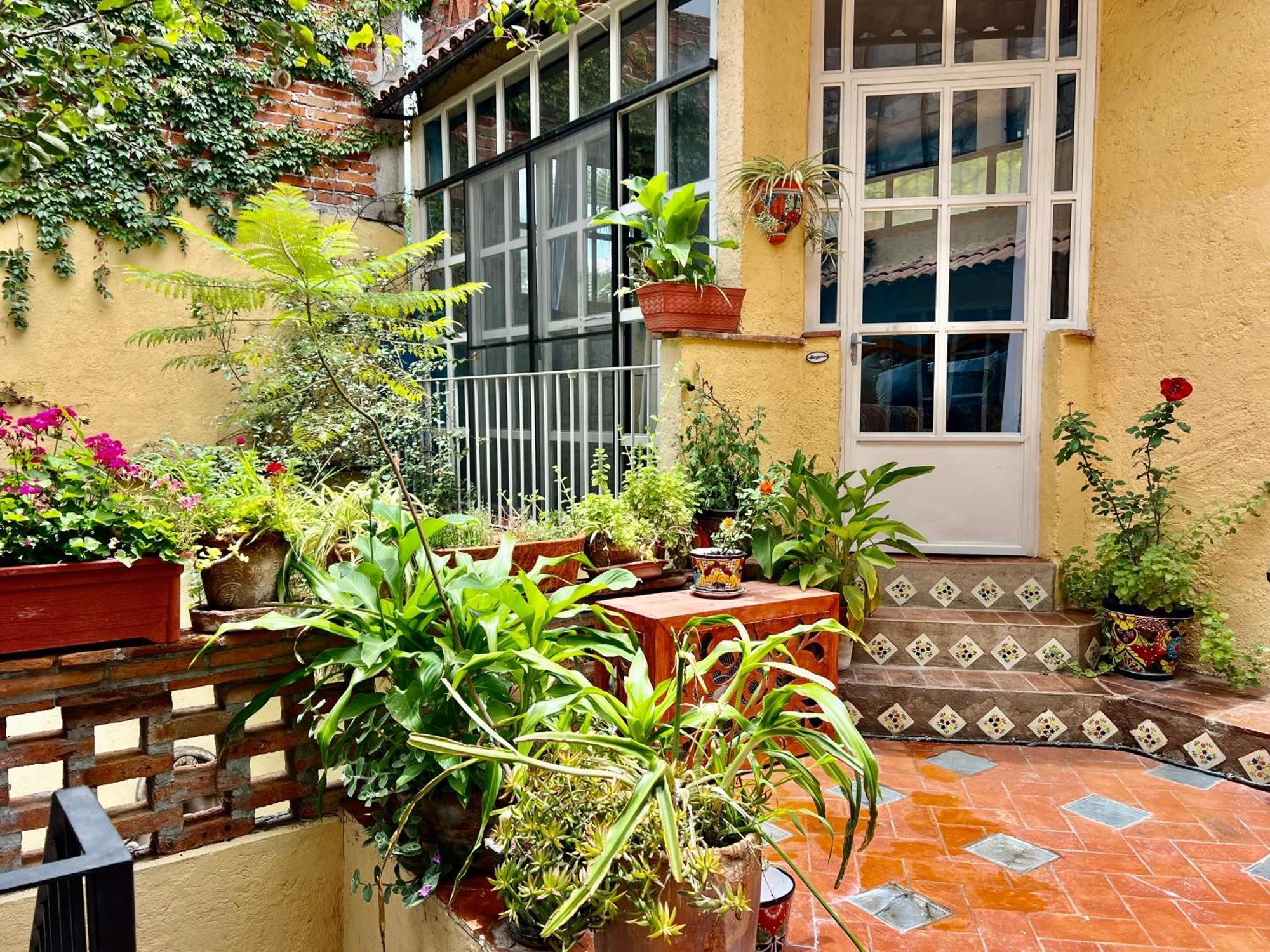 Boutique Hotel Casa Camellia San Miguel de Allende Eksteriør billede