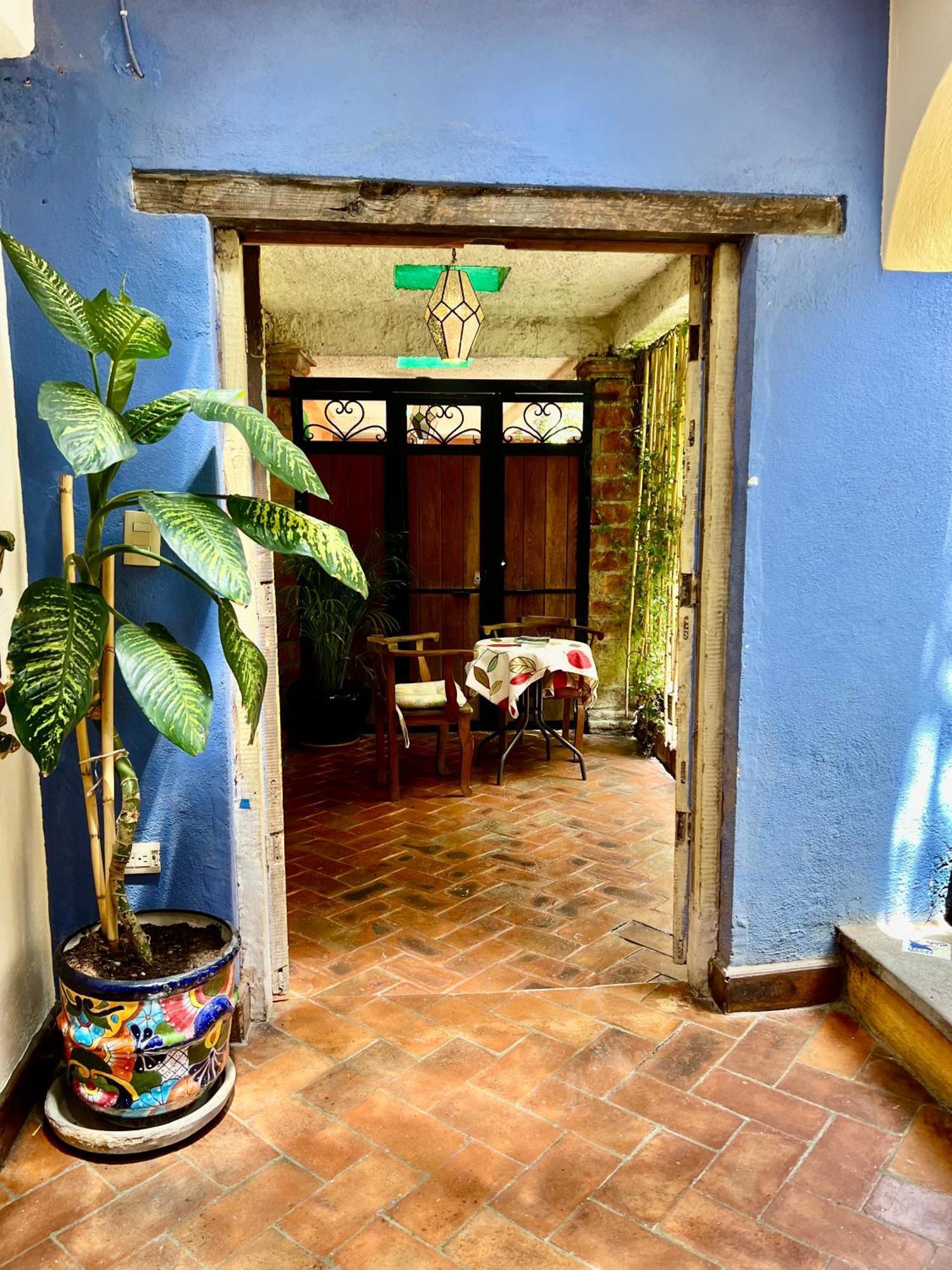 Boutique Hotel Casa Camellia San Miguel de Allende Eksteriør billede